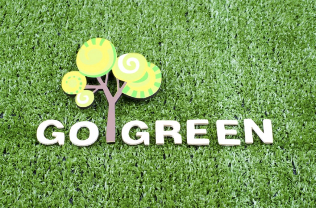 Go Green Brooklyn - environmental issues