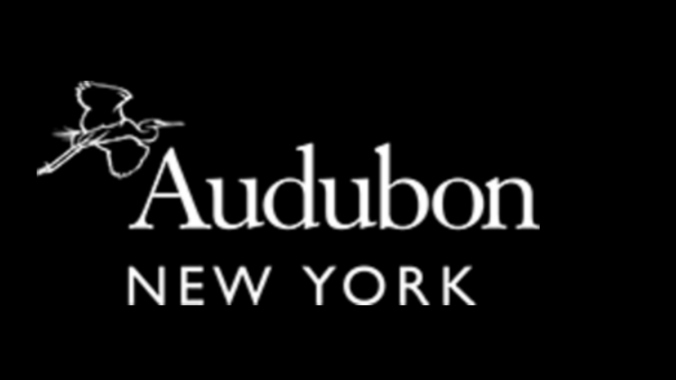 NY Audubon logo