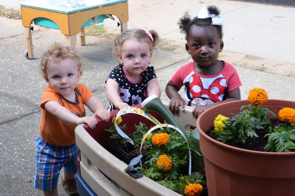 Sensory Garden Hour (Greenpoint Library)