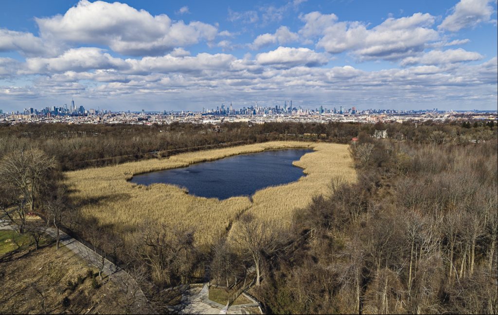 Volunteer Landscaping and Cleanup at the Ridgewood Reservoir