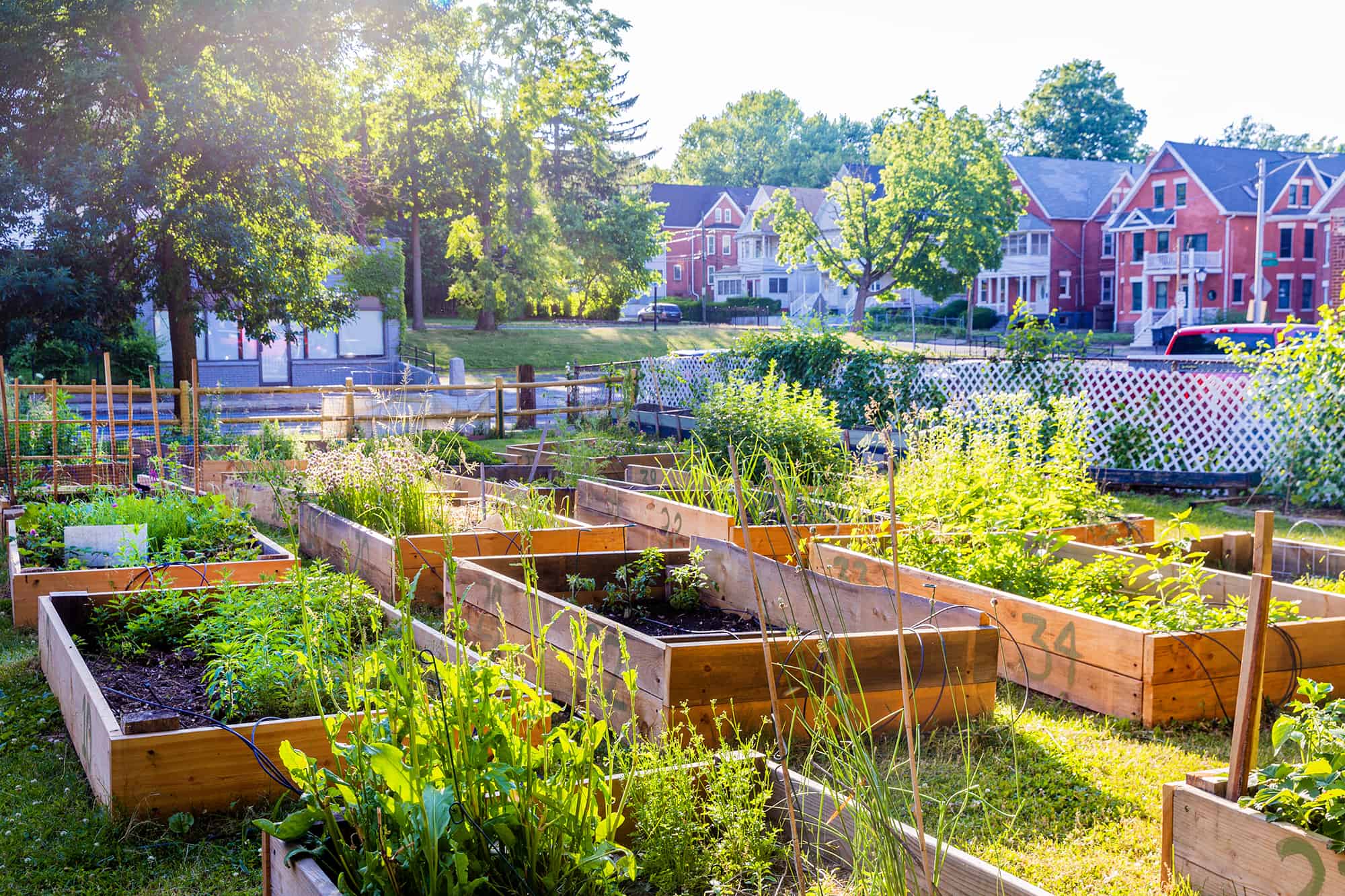 Bringing the Green Crowdfunding for Community Gardens Go Green Brooklyn
