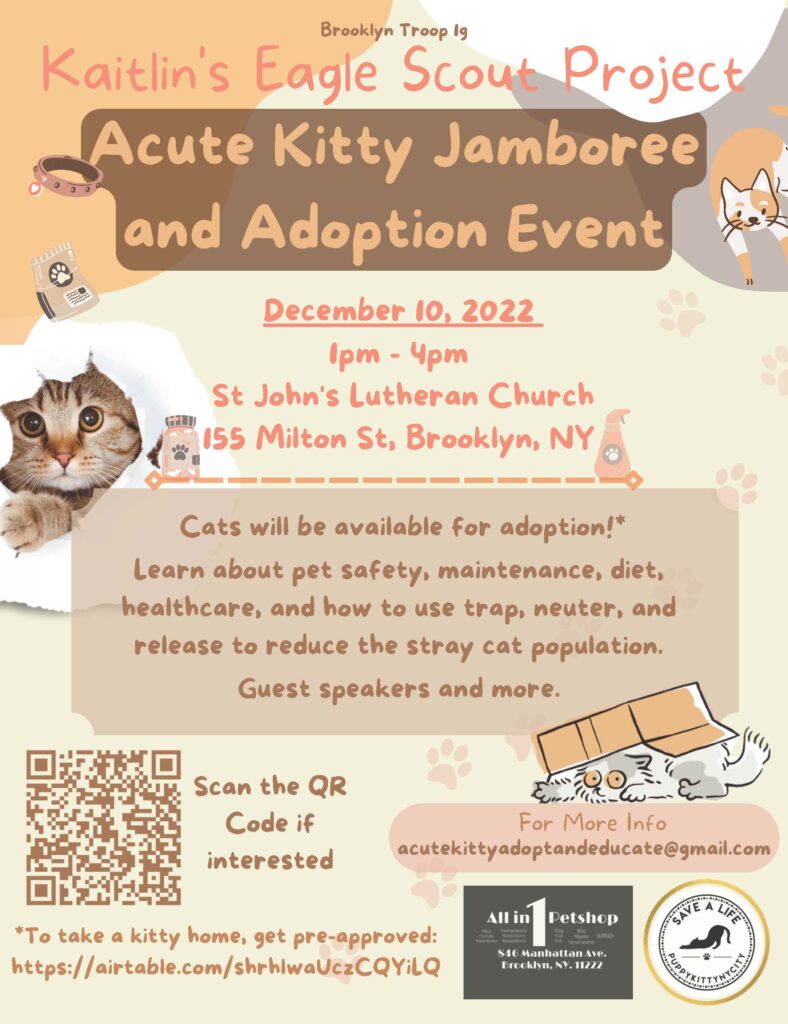 Kitty Jamboree and Adoption Fair! (Troop 1G Kaitlin’s Eagle Scout ...