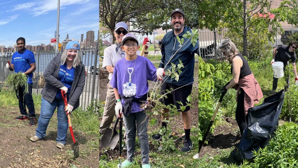 Sunday Gardening at Transmitter Park